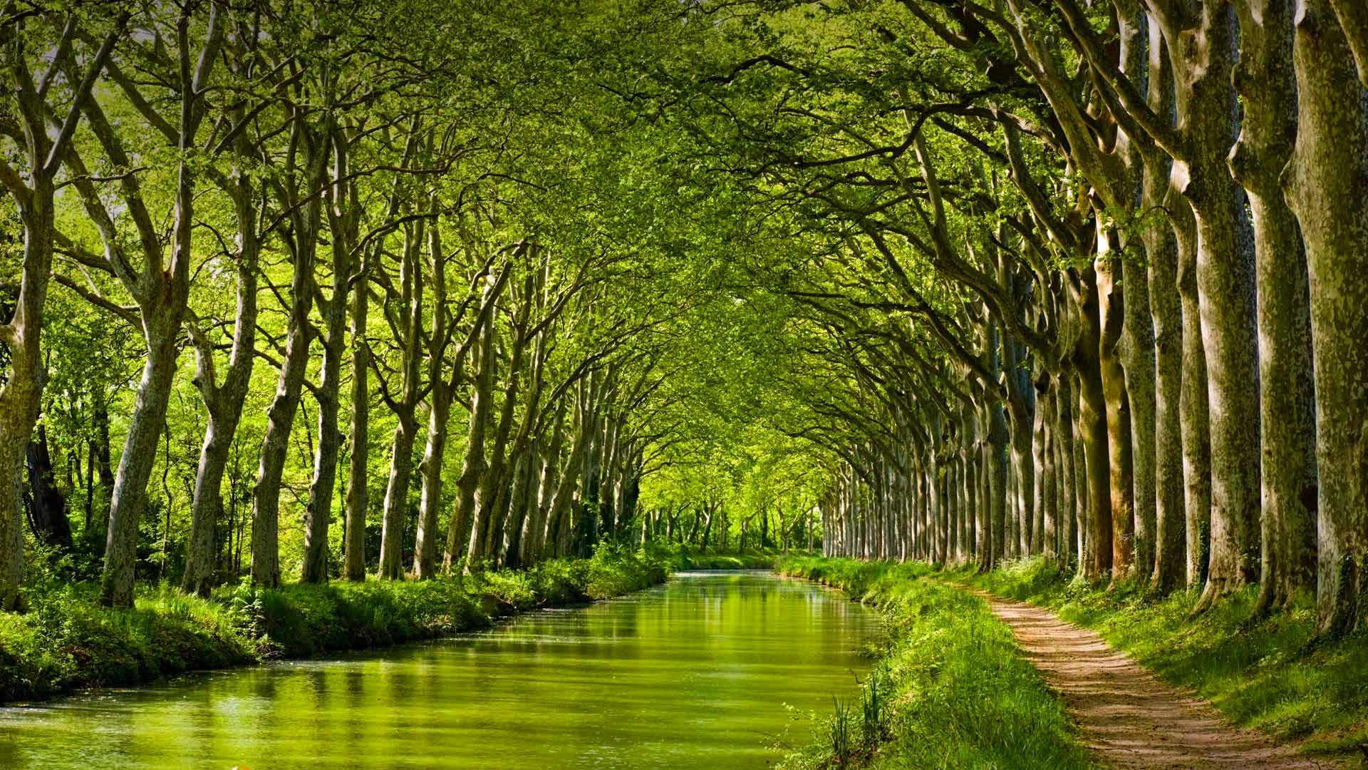 kanal dyu midi tuluza franciya